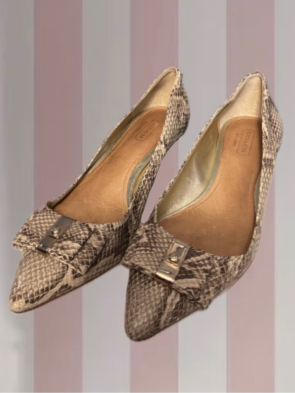 Coach snake print kitten heels